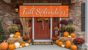 Fall Splendors Collection